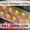 Viagra Kamagra 100Mg new11